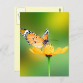 Zitterend  kleine vlinder op een ventilator briefkaart (Voorkant / Achterkant)