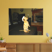 Zitterend  of kijkend TV Dachshund Canvas Afdruk (Insitu (Woonkamer))