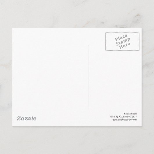Zitting Emden Goose in het Briefkaart Shade (Achterkant)