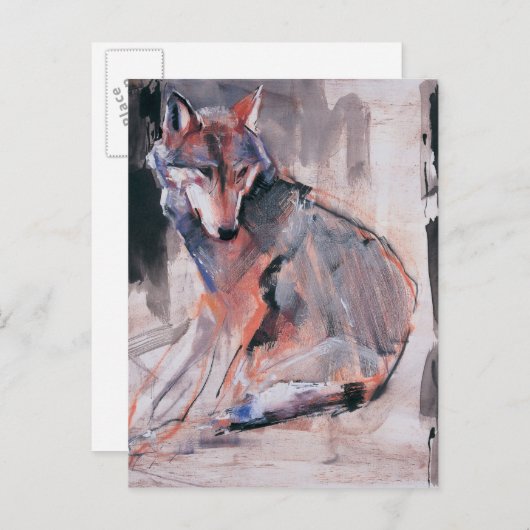 Zitting Wolf 2000 Briefkaart (Voorkant / Achterkant)