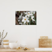 Ziva Paper White Flower Poster (Keuken)