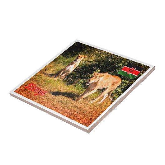 zKE005 KENIA, Leeuwen, Afrika, Tegeltje (Zijkant)
