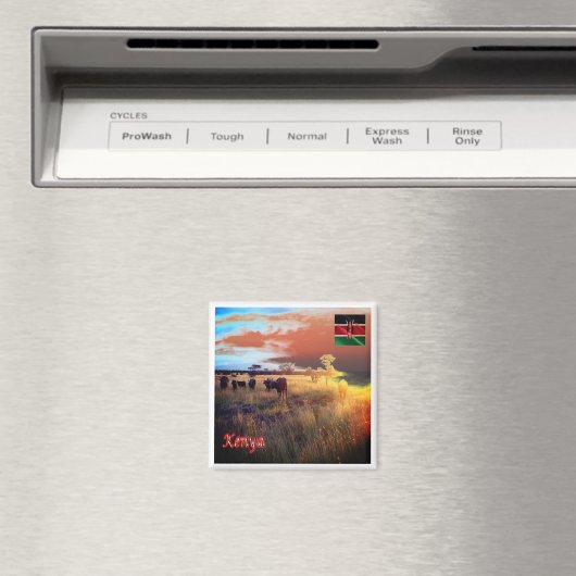 zKE007 KENYA, Panorama, Afrika, Fridge Magneet (Insitu (Vaatwasser))