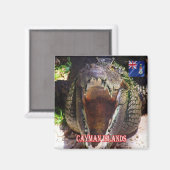 zKY008 CAYMAN ISLANDS, krokodil bij Cayman, Fridge Magneet (Voorkant / Achterkant)