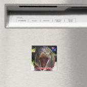 zKY008 CAYMAN ISLANDS, krokodil bij Cayman, Fridge Magneet (Insitu (Vaatwasser))
