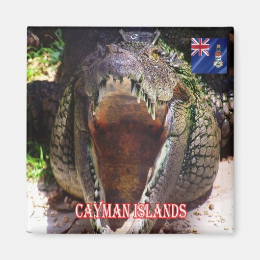 zKY008 CAYMAN ISLANDS, krokodil bij Cayman, Fridge Magneet (Voorkant)