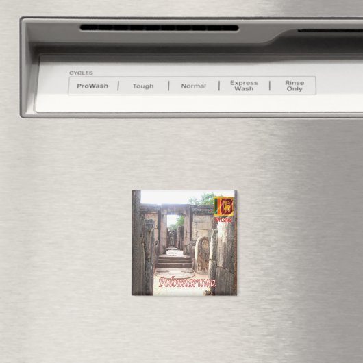 zLK020 TEMPLE Polonnaruwa, Sri Lanka, Azië, Fridge Magneet (Insitu (Vaatwasser))