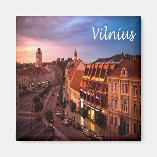zLT009 VILNIUS, Litouwen, Europa, Fridge Magneet (Voorkant)