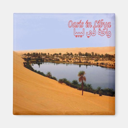 ZLY008 OASIS, Libië, Afrika, Fridge Magneet (Voorkant)