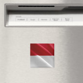 zMC002 MONEGASQUE wavig FLAG, Vorstendom Monaco, Magneet (Insitu (Vaatwasser))