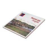 zMN008 KHONGORYN ELS CAMELS, Mongolië, Tegeltje (Zijkant)