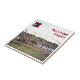 zMN008 KHONGORYN ELS CAMELS, Mongolië, Tegeltje