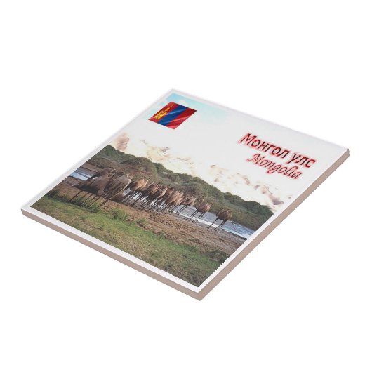 zMN008 KHONGORYN ELS CAMELS, Mongolië, Tegeltje (Zijkant)