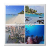 zMU023 MAURITIUS, Mozaïek, Afrika, Tegeltje (Voorkant)