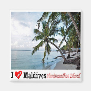 zMV008 HANIMAADHOO, HAA DHAALU ATOLL, Maldiven, Magneet