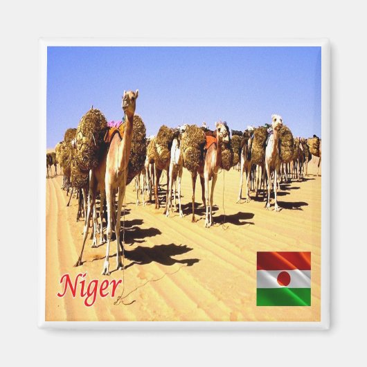 zNE007 NIGER, Oasis Bilma, Afrika, Fridge Magneet (Voorkant)