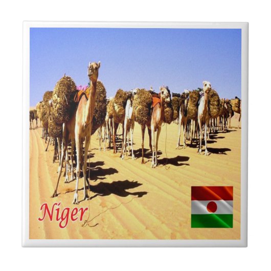 zNE007 NIGER, Oasis Bilma, Afrika, Tegeltje (Voorkant)