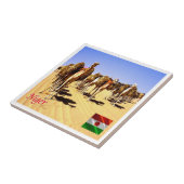 zNE007 NIGER, Oasis Bilma, Afrika, Tegeltje (Zijkant)