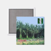zNG009 NIGERIA, Palm Trees, Afrika, Fridge Magneet (Voorkant / Achterkant)