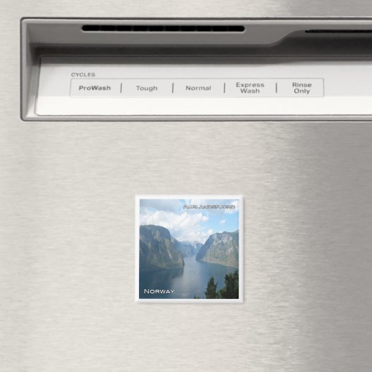 zNO061 AURLANDSFJORDEN uit Stegastein, Noorwegen, Magneet (Insitu (Vaatwasser))