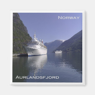 zNO101 AURLANDSFJORD, cruiseschip te Flåm, Noorweg Magneet