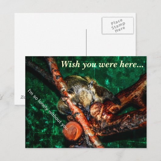 Zo eenzaam zonder jou briefkaart (Voorkant / Achterkant)