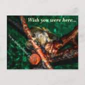 Zo eenzaam zonder jou briefkaart (Voorkant)