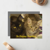 Zo gelukkig samen Purrfect Valentijns Two Cats Notitiekaartje (Voorkant / Achterkant in situ)