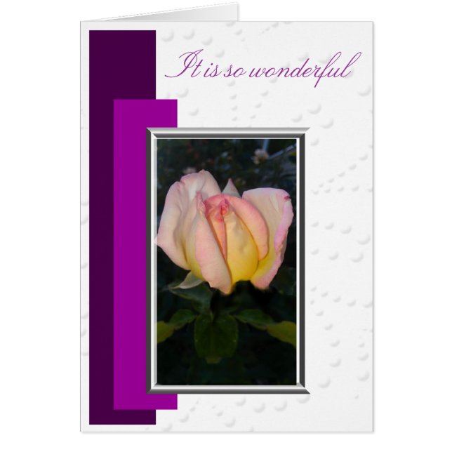 Zo geweldig (Voorkant)