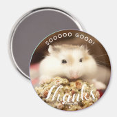Zo Good Cute White Robo Hamster Magneet (Voorkant / Achterkant)