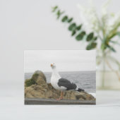 Zo grappig gekantelde kop zeemeeuw briefkaart (Staand voorkant)