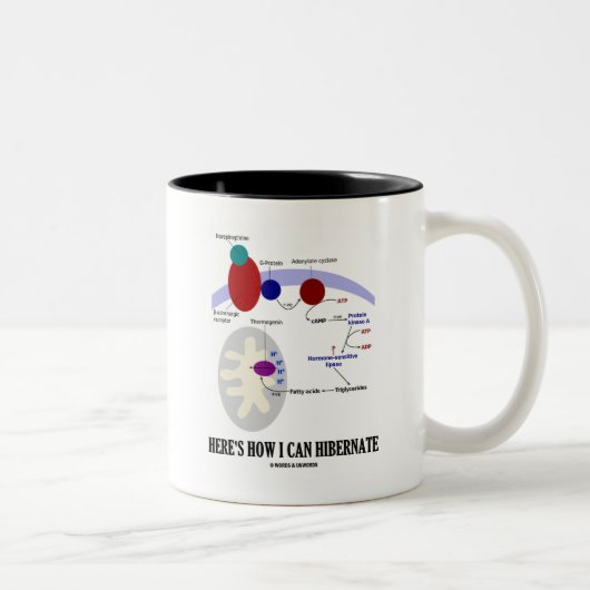 Zo kan ik Slubernaat (Thermogenese) Tweekleurige Koffiemok (Rechts)