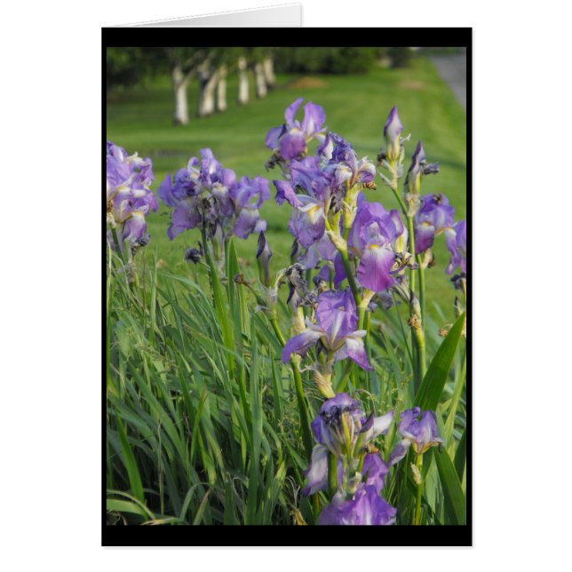 Zo klaar voor de lente ~ 21 (Voorkant)