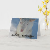 Zo koud! Ik moet plassen. Kaart (Gele Bloem)