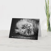 Zo meowvelous verjaardag Kaart (Voorkant)