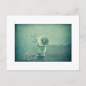 Zo mooi II Briefkaart (Voorkant)