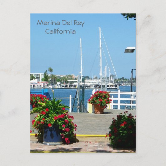Zo mooi Marina Del Rey Briefkaart! Briefkaart (Voorkant)