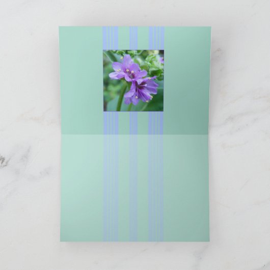 Zo Paars Oh Kaart (Binnen)