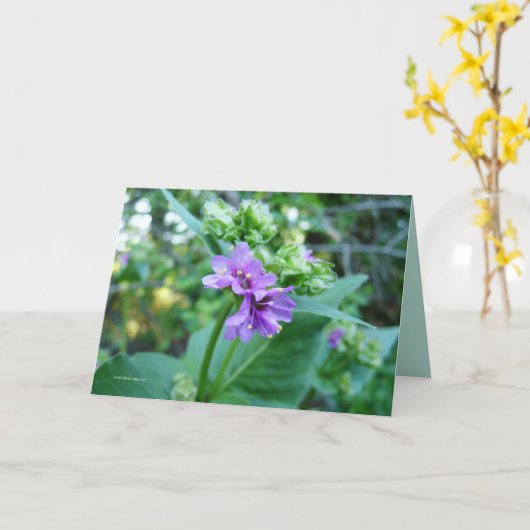 Zo Paars Oh Kaart (Gele Bloem)