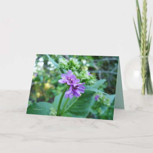 Zo Paars Oh Kaart (Voorkant)