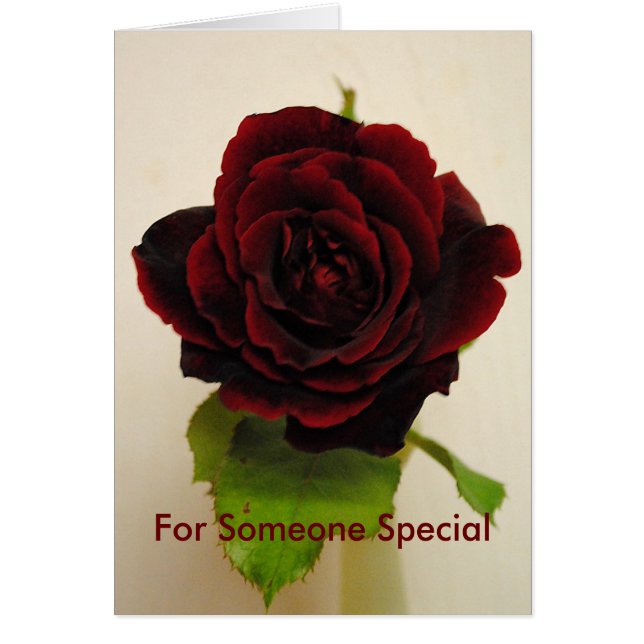 Zo rood het Roos (Voorkant)