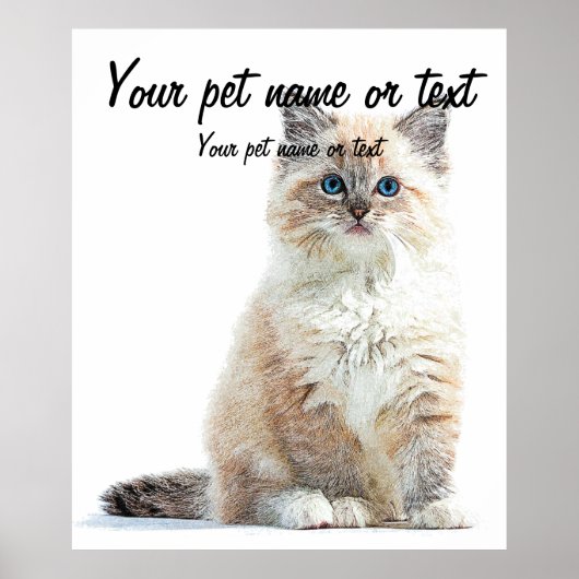 Zo Schattig en Cute, Ragdoll Cat Poster (Voorkant)