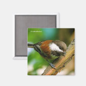 Zo schattig, zo nieuwsgierig: een kastanje-gesteun magneet (Voorkant / Achterkant)