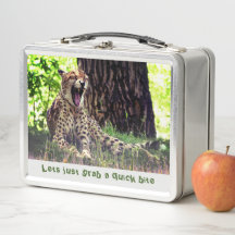 Zo snel als een Cheetah
