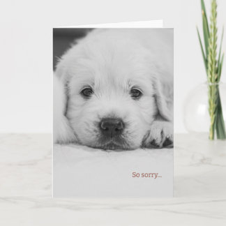 Zo Sorry Sympathiekaart Bedankkaart