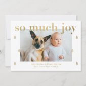 Zo veel Joy Modern Holiday-fotokaart Feestdagenkaart (Voorkant)