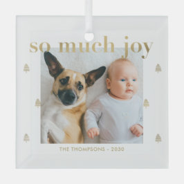 Zo veel vreugde aangepaste foto kerst ornament