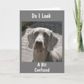 **ZO VEROORDEELD WAAROM VERLAAT "U" HET WERK? KAART (Voorkant)