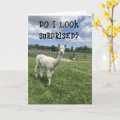 *ZO VERRASSD **20th** BIRTHDAY!!!!* Kaart (Gele Bloem)