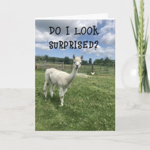 *ZO VERRASSD **20th** BIRTHDAY!!!!* Kaart